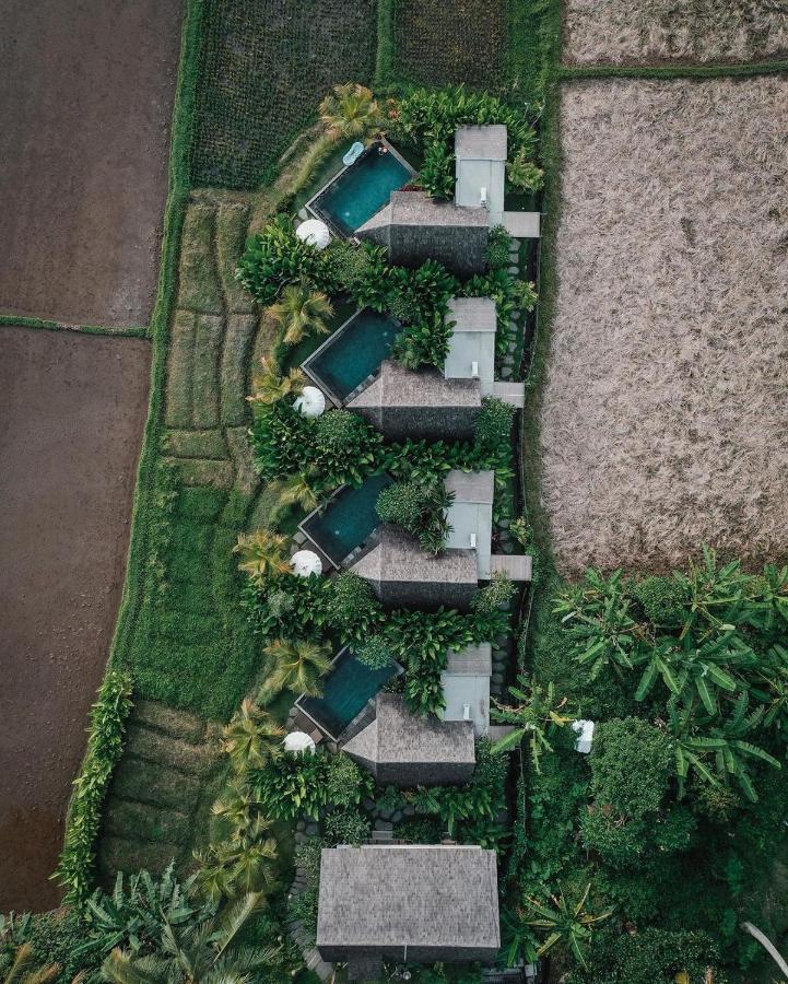 Lasamana Villas Ubud By Pramana Villas ภายนอก รูปภาพ