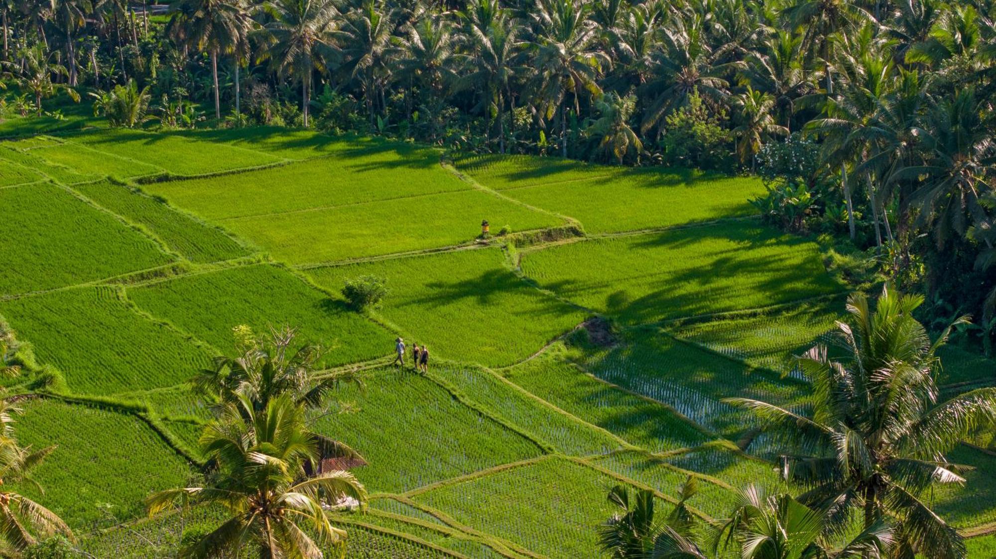 Lasamana Villas Ubud By Pramana Villas ภายนอก รูปภาพ