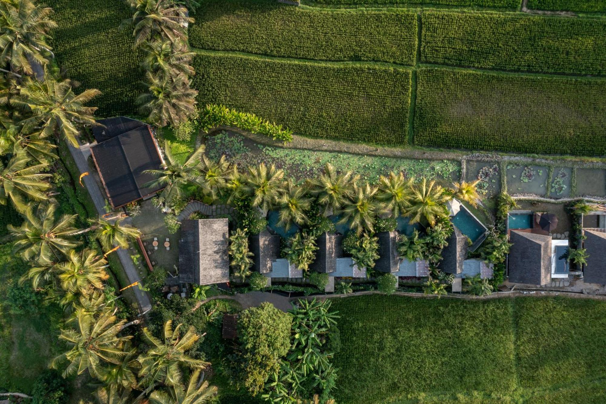 Lasamana Villas Ubud By Pramana Villas ภายนอก รูปภาพ